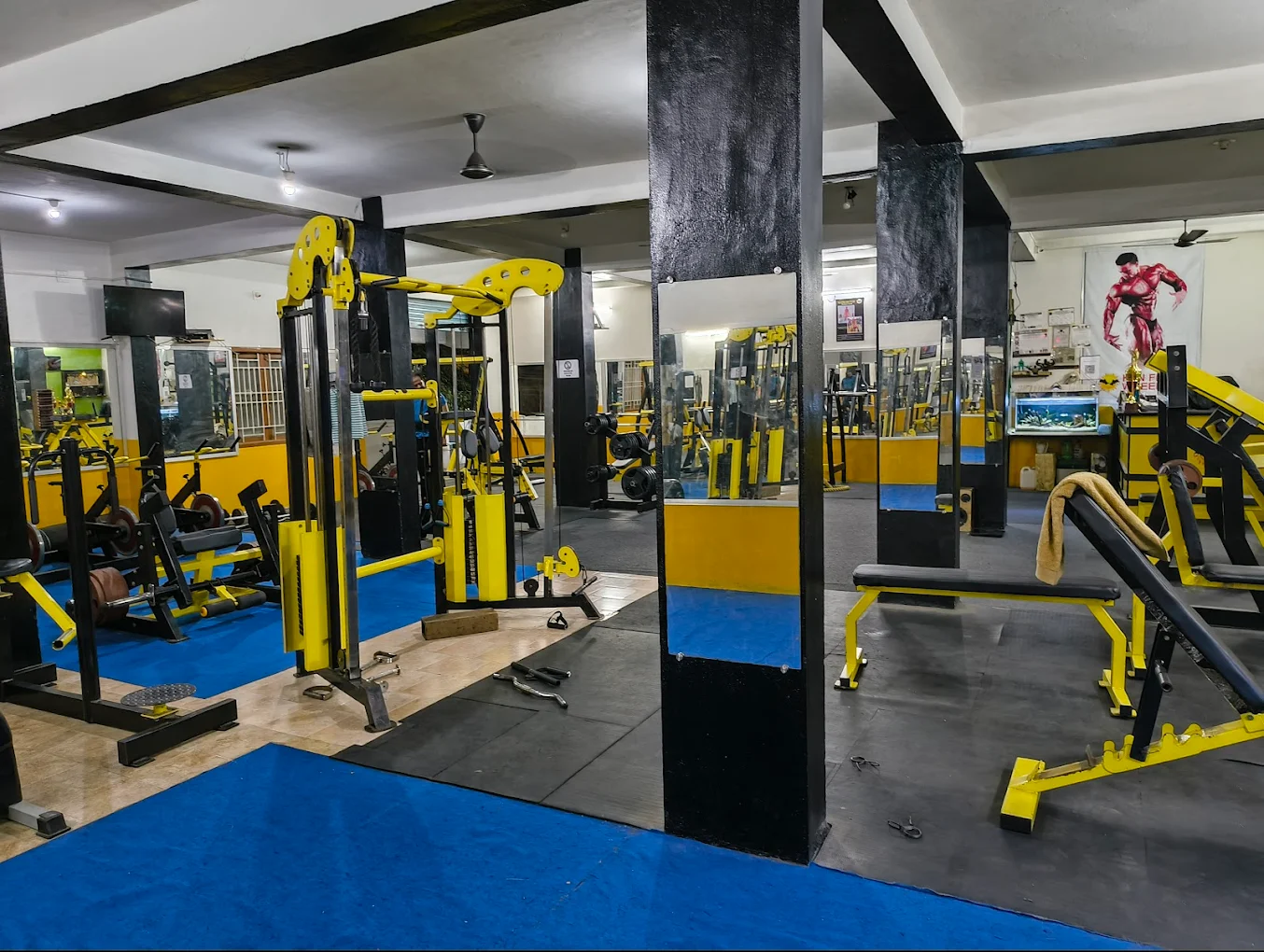 Extream Gym Team